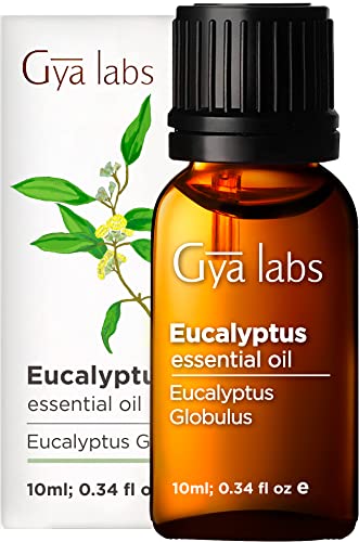 Gya Labs Eucalyptus Essential Oils