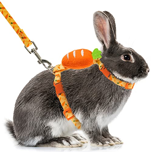 ORZECHKO Rabbit Harness and Leash ̵...