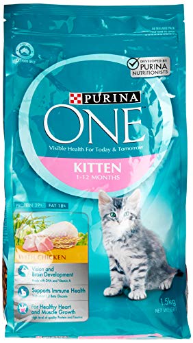 Purina One Kitten Dry Cat Food