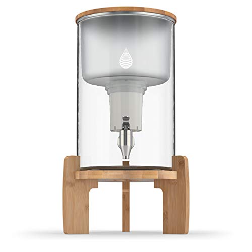 Invigorated Water Filter Dispenser