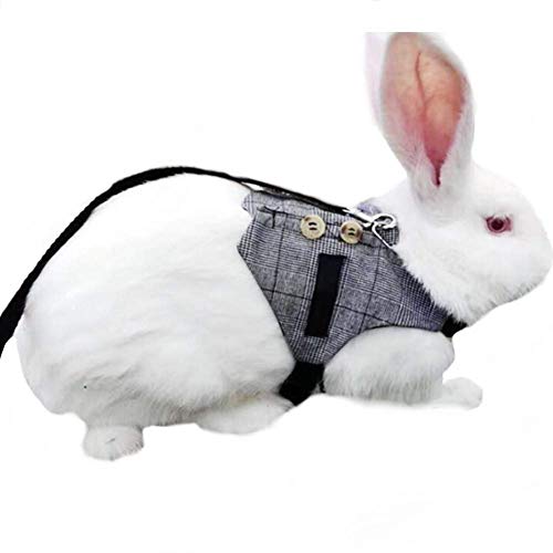 Rabbit Vest Harness