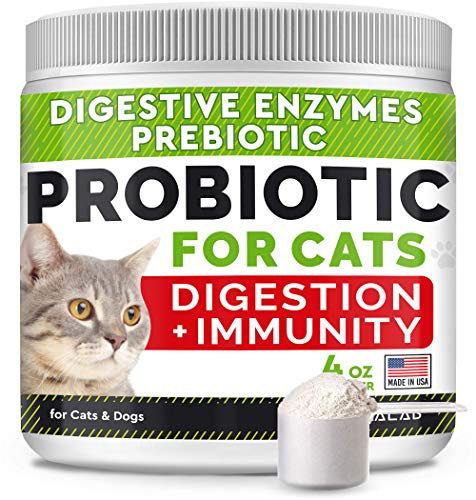Probiotics Powder for Cats and Dogs