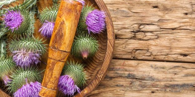 A Dietitian’s Picks of the 5 Best Milk Thistle Supplements of 2024 in Germany