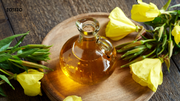 The 10 Best Evening Primrose Oil Supplements of 2024 available in Germany: With Complete Review and Buyer’s Guide
