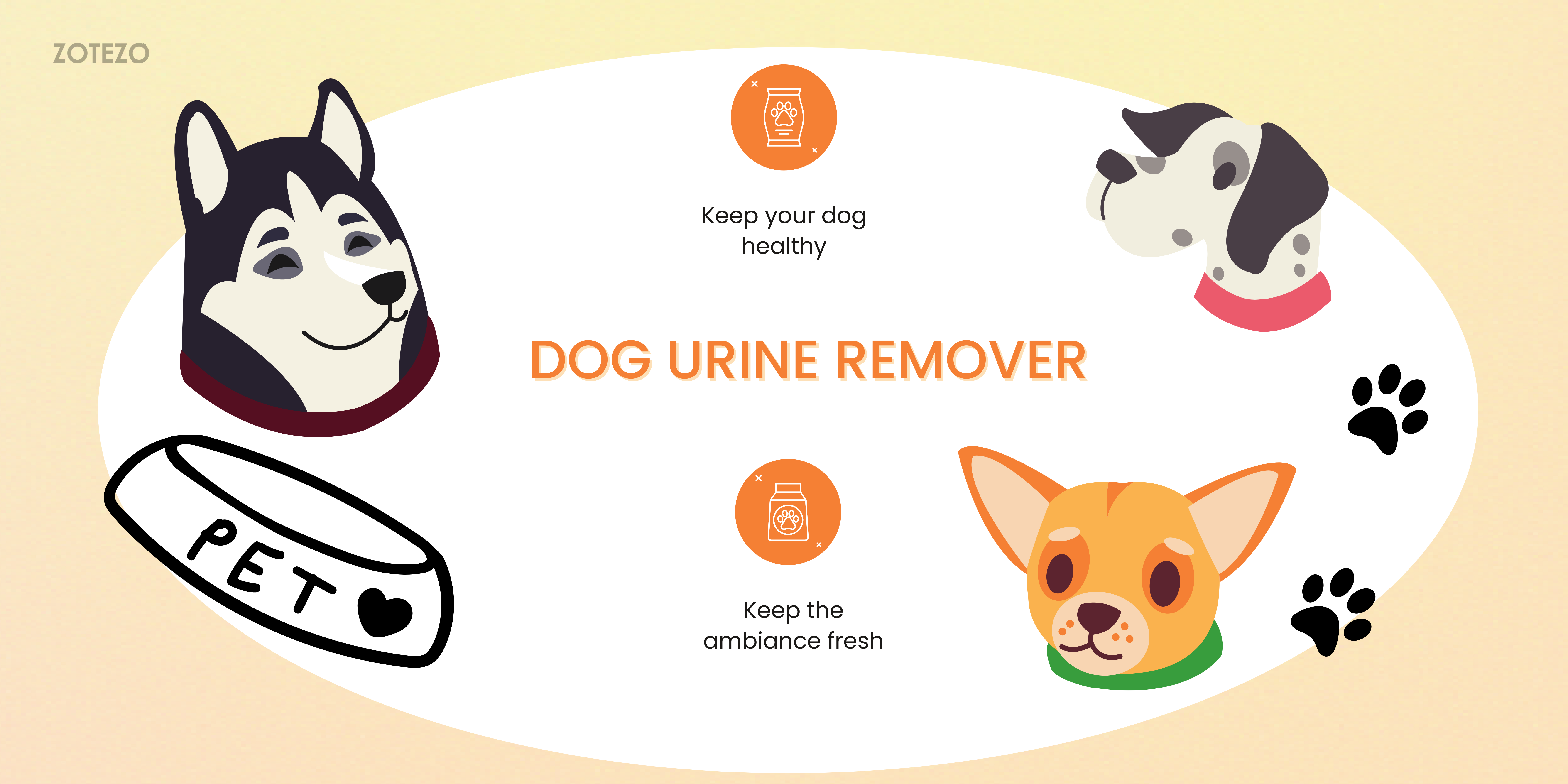 6 Best dog urine remover of 2024 in Germany, According To Experts