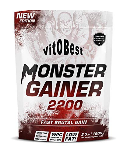Monster Gainer 2200 – Vitobest