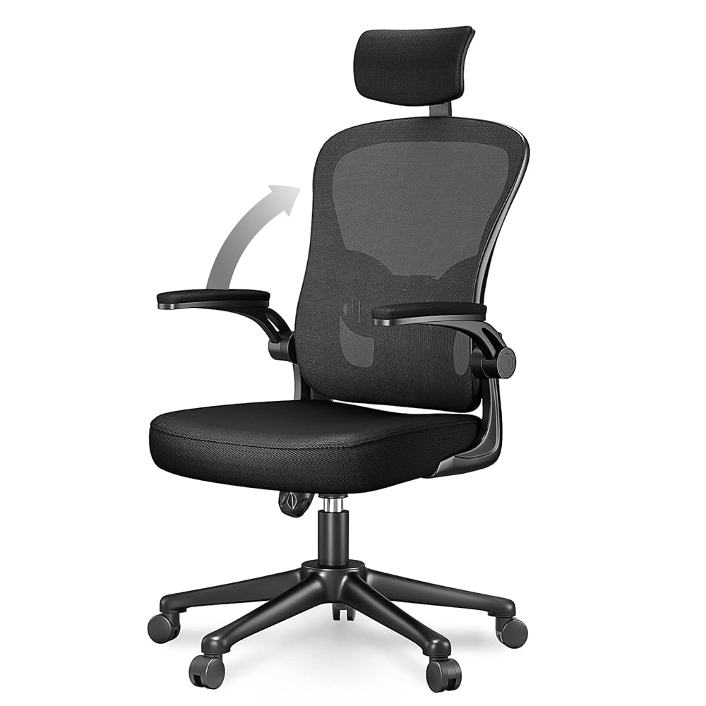 rattantree Ergonomic Office Chair with ...