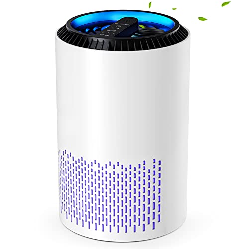 CONOPU Air Purifier with HEPA Filter