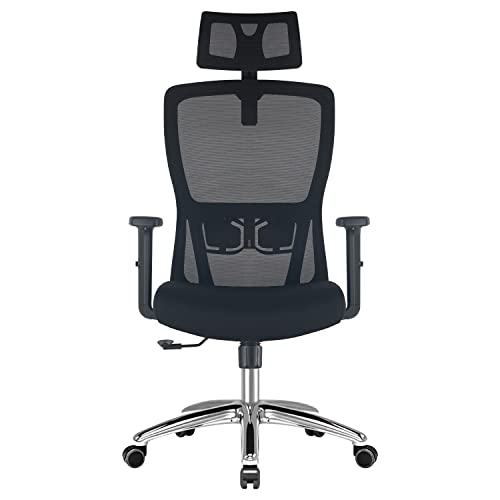 Ergonomic Mesh Office Chair with Adjust...
