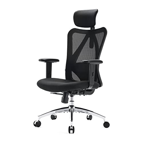 SIHOO Ergonomic Office Chair with Lumba...