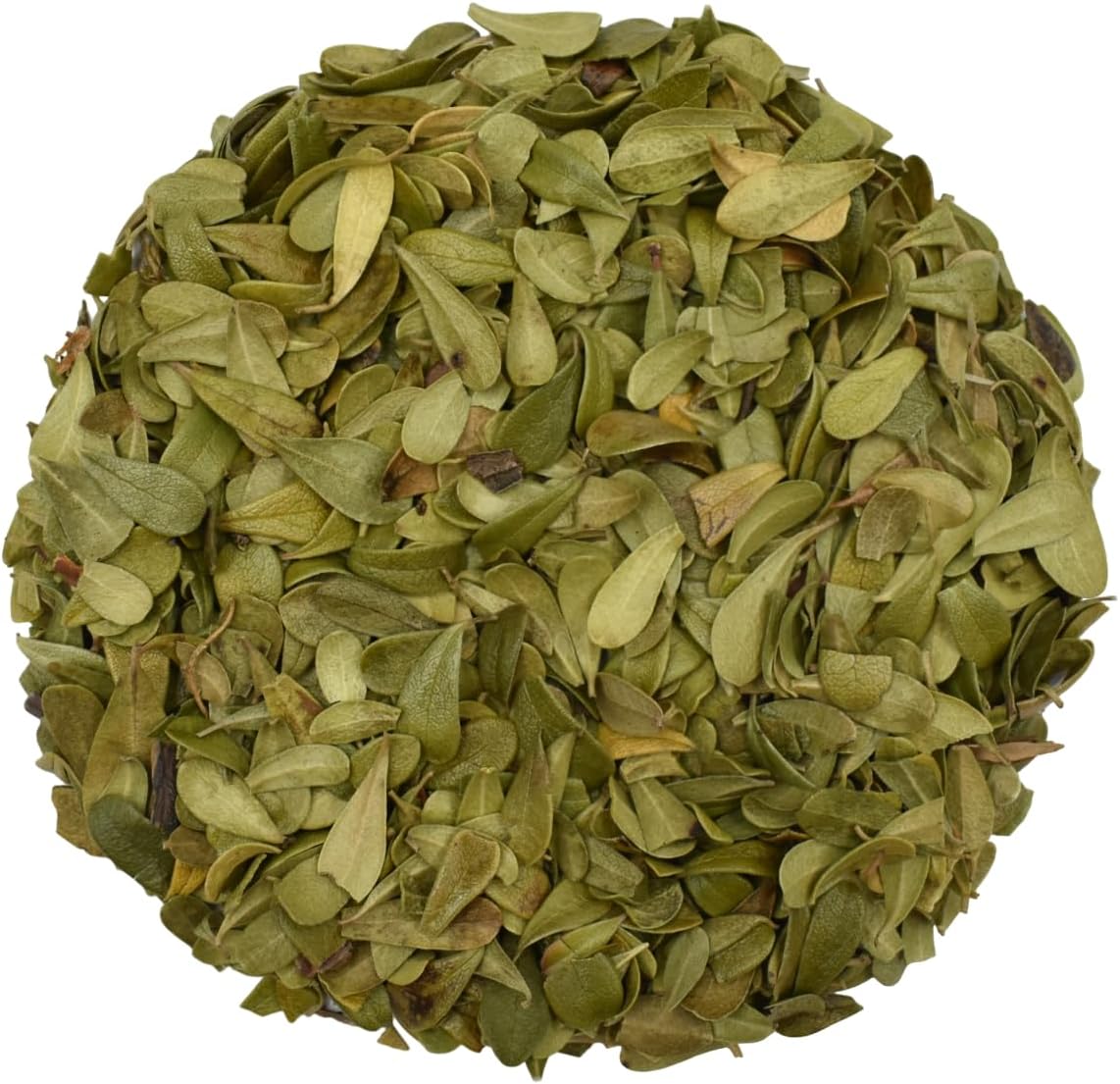 Uva Ursi Dried Leaves Tea – Brand