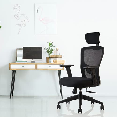 TOPSKY Mesh Computer Office Chair Ergonomic Design Chair 3D Armrest Skeletal Back Synchronous Mechanism Hanger Function Black 
