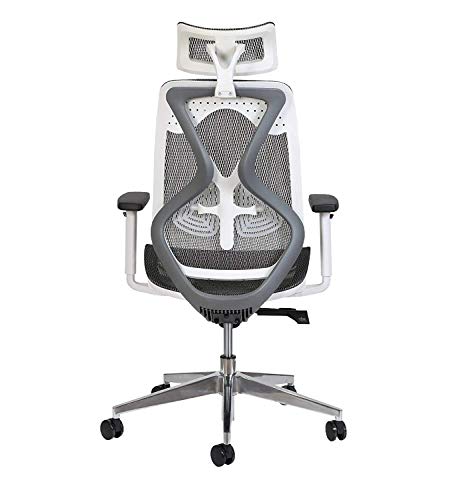 Misuraa Ergonomic Chair