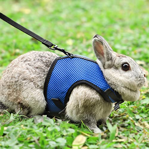 Adjustable Bunny Rabbit Harness and Lea...