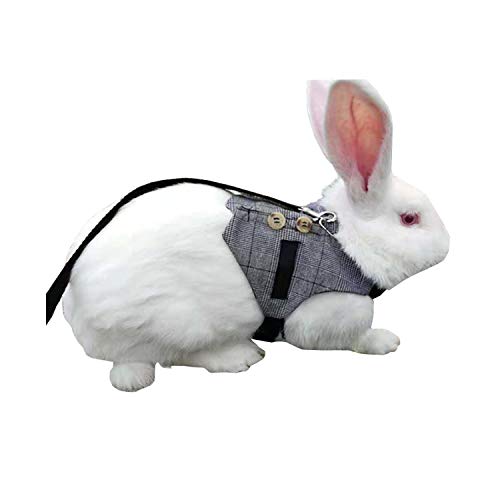 Rabbit Vest Harness and Leash Set Adjus...