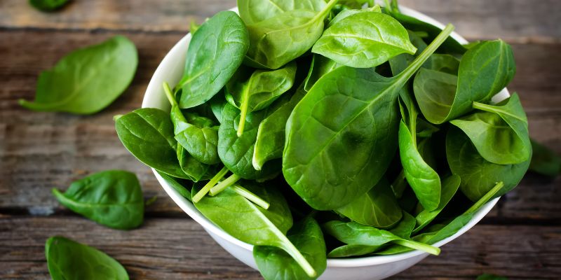 Spinach Powder in Italy