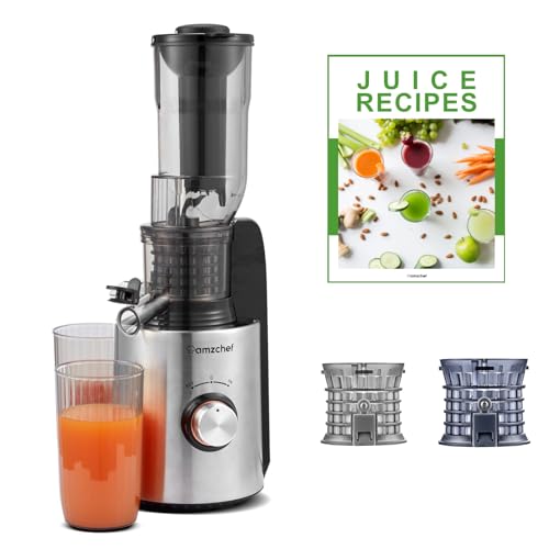 AMZCHEF 250W Fruit and Vegetable Juicer