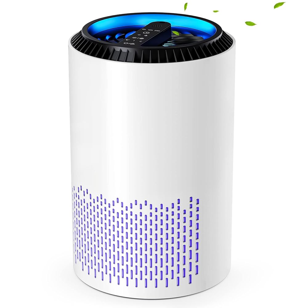 CONOPU Air Purifier with HEPA H13 Filter