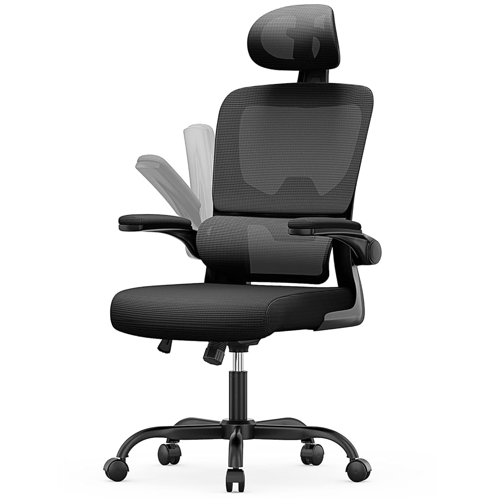 Ergonomic Office Chair with Adjustable ...