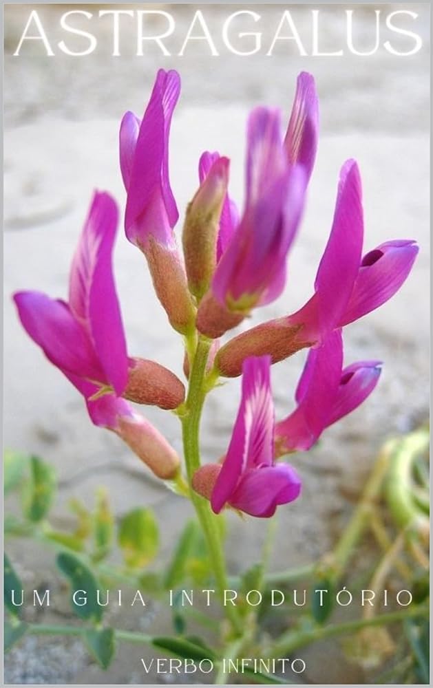 Astragalus Introductory Guide