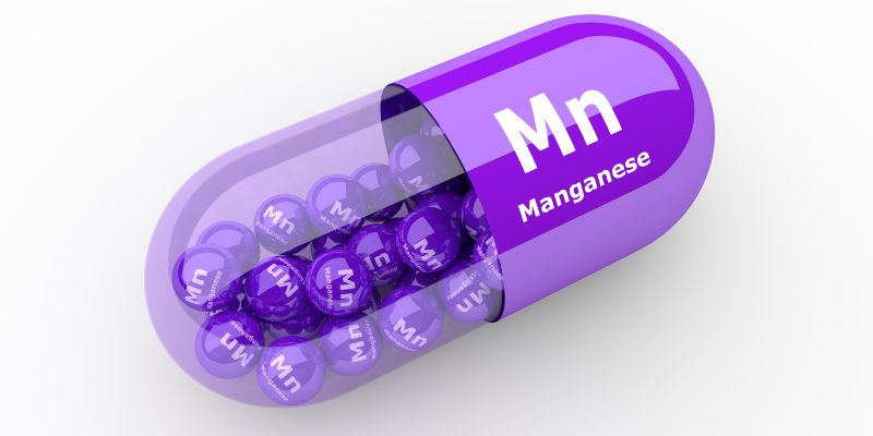 Manganese Supplements in Netherlands
