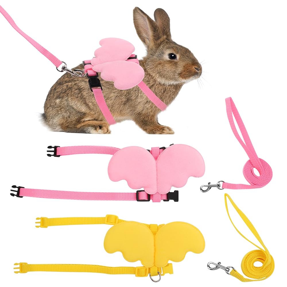 Molain Rabbit Harness and Leash Set