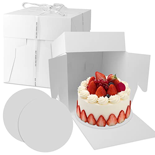 Towviy Cake Boxes Set