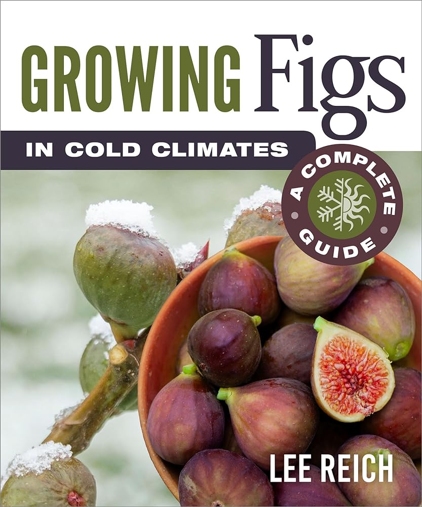 Frosty Fig Guide: Growing in Cold Climates