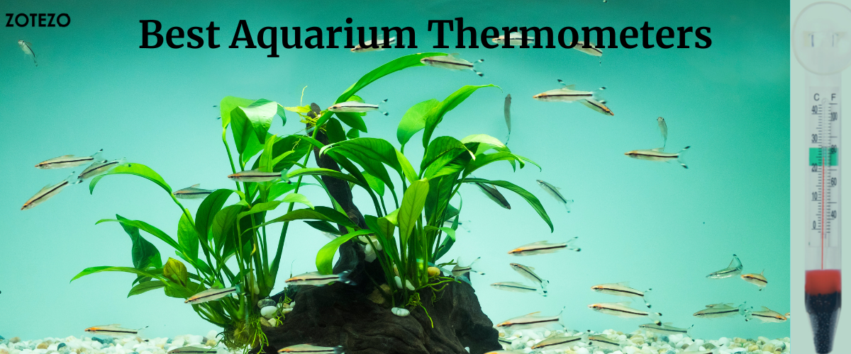 AQUANEAT 3 Pack Aquarium Thermometer, Reptile Thermometer, Fish