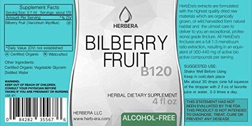 Bilberry Fruit Tincture Alcohol-Free Ex...
