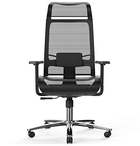 BILKOH Ergonomic Office Chair