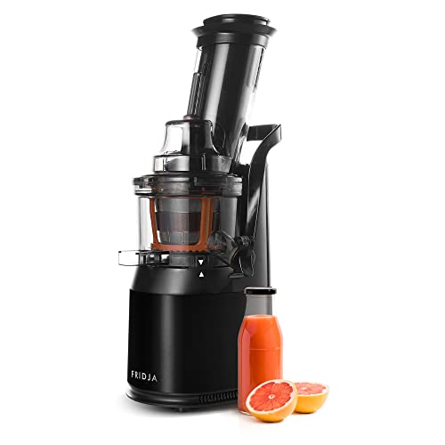 Powerful Masticating Juicer for Whole F...