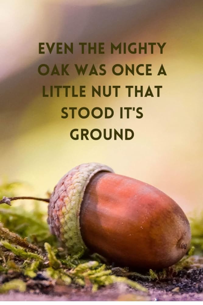 Oak Nut: Stand Your Ground