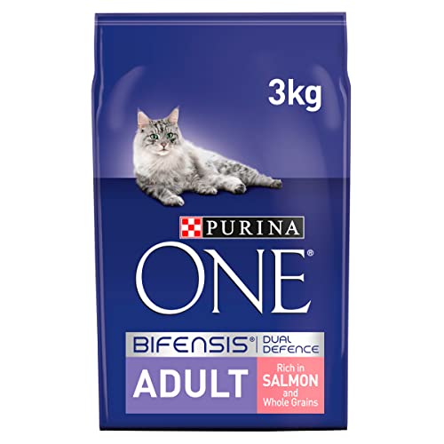 Purina ONE Adult Dry Cat Food