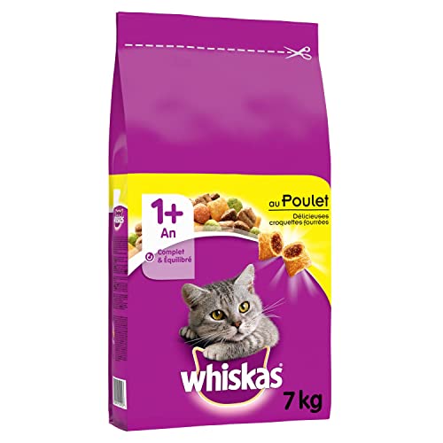 Whiskas 1+ Dry Cat Food