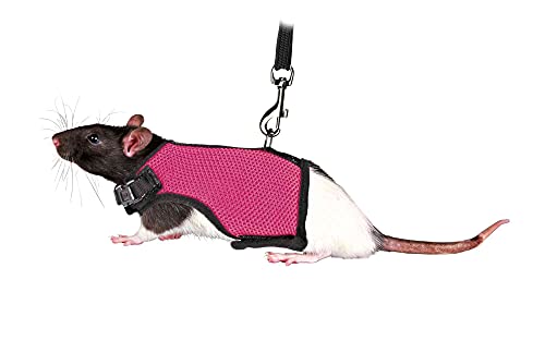 Harnesses for Rabbits, Assorted Colours