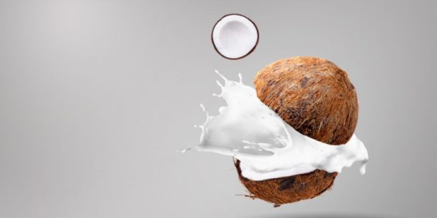 The 6 Best Coconut Milk Powder of 2024 in USA : A Dietitian’s Picks