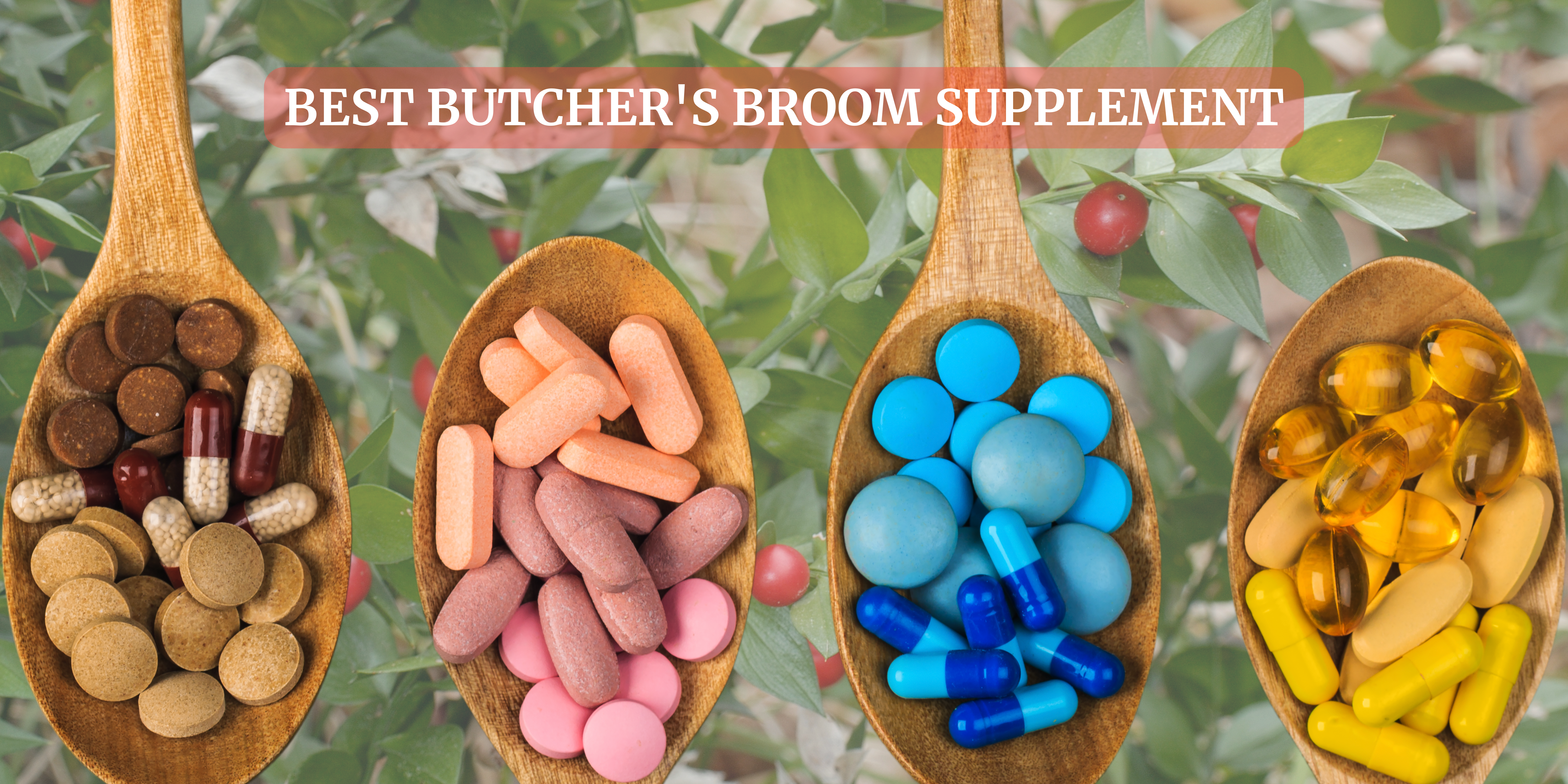 butcher's broom supplement in USA