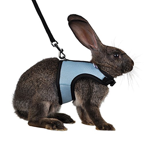 Niteangel Rabbit Harness