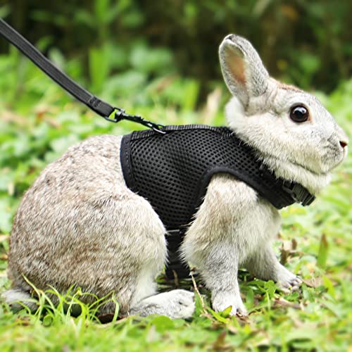 Pettom Bunny Rabbit Harness