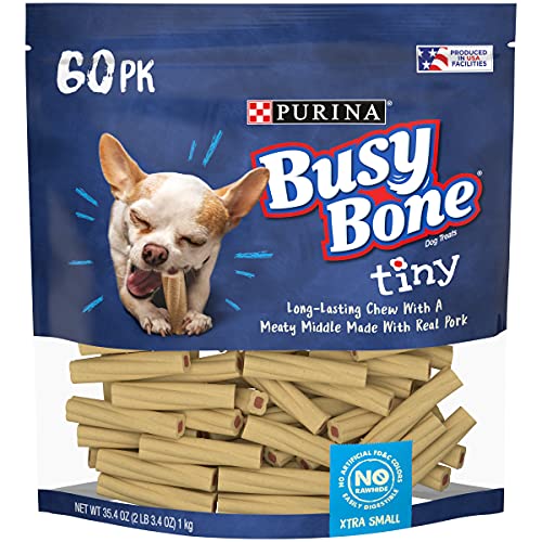 Busy Purina Bone Dog Treat