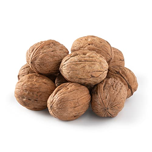 Nuts U.S. Jumbosize Walnuts In Shell