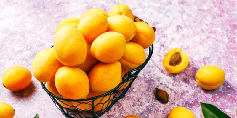 apricot in Hindi