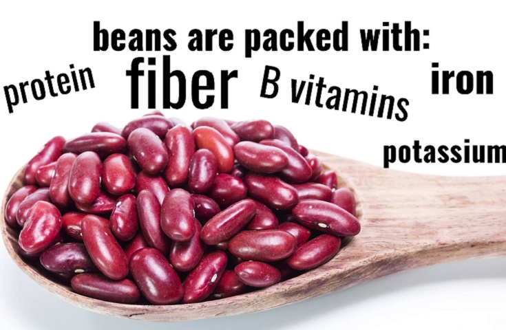 Rød dato Slutning Kemiker Health Benefits of Kidney Beans