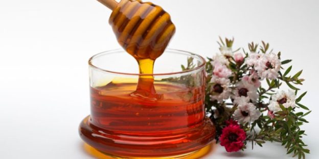 Best Manuka Honey – 2024