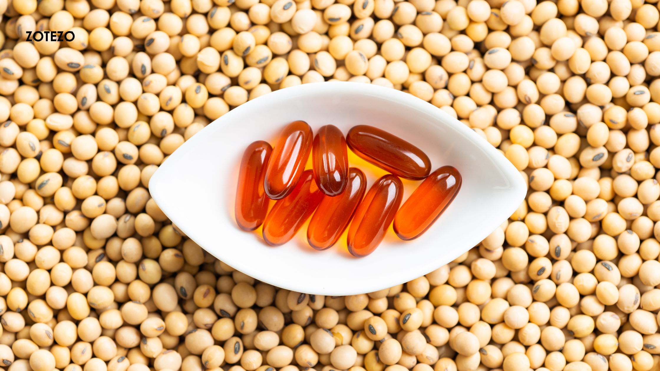 Lecithin Supplements in the World