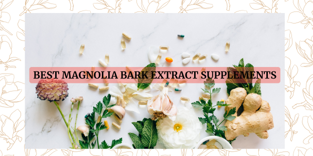 Best Magnolia Bark Extract Supplements-2024