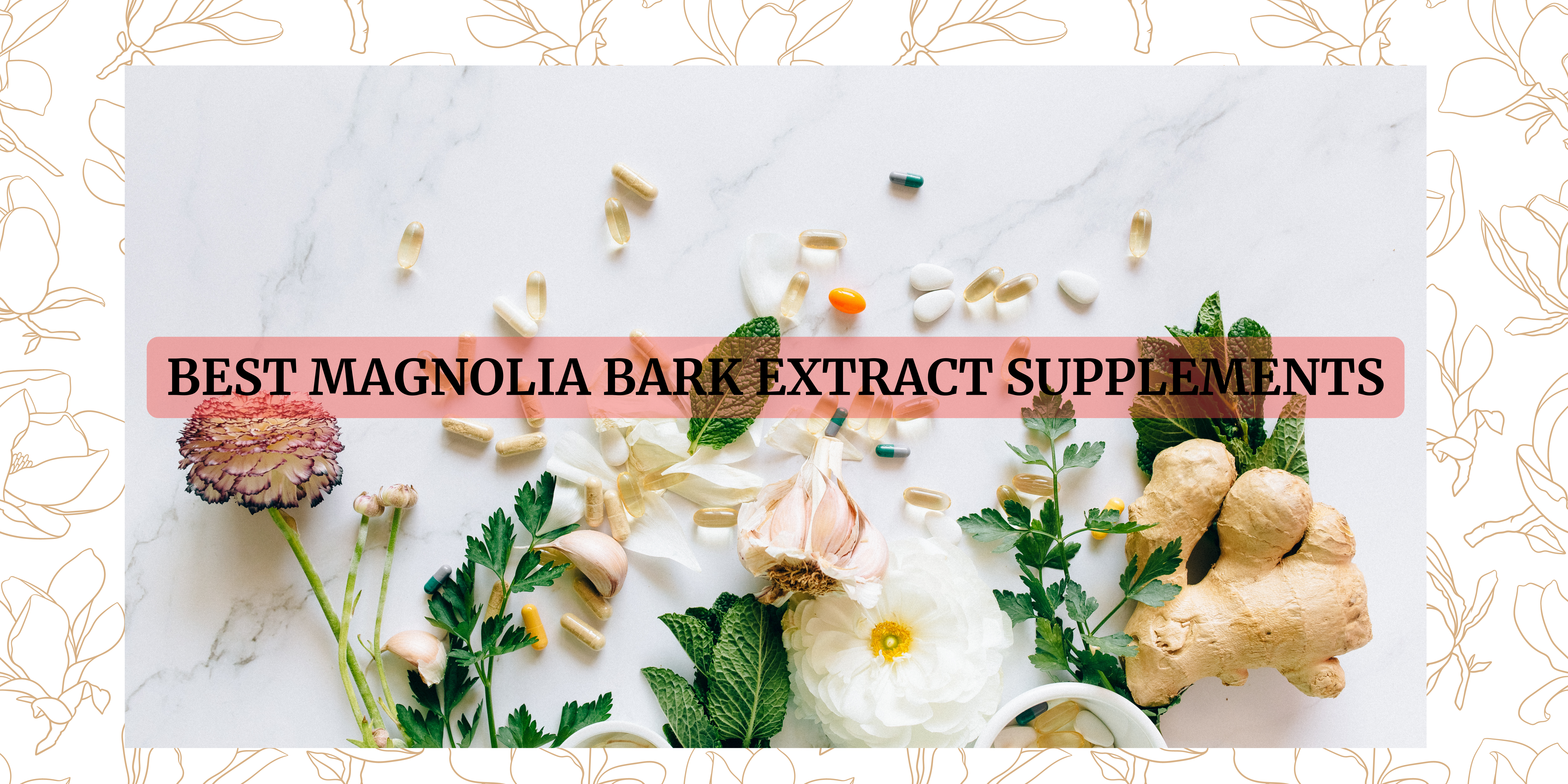 magnolia bark extract supplements in the World