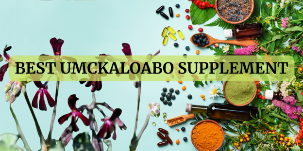 Best Umckaloabo Supplements-2024