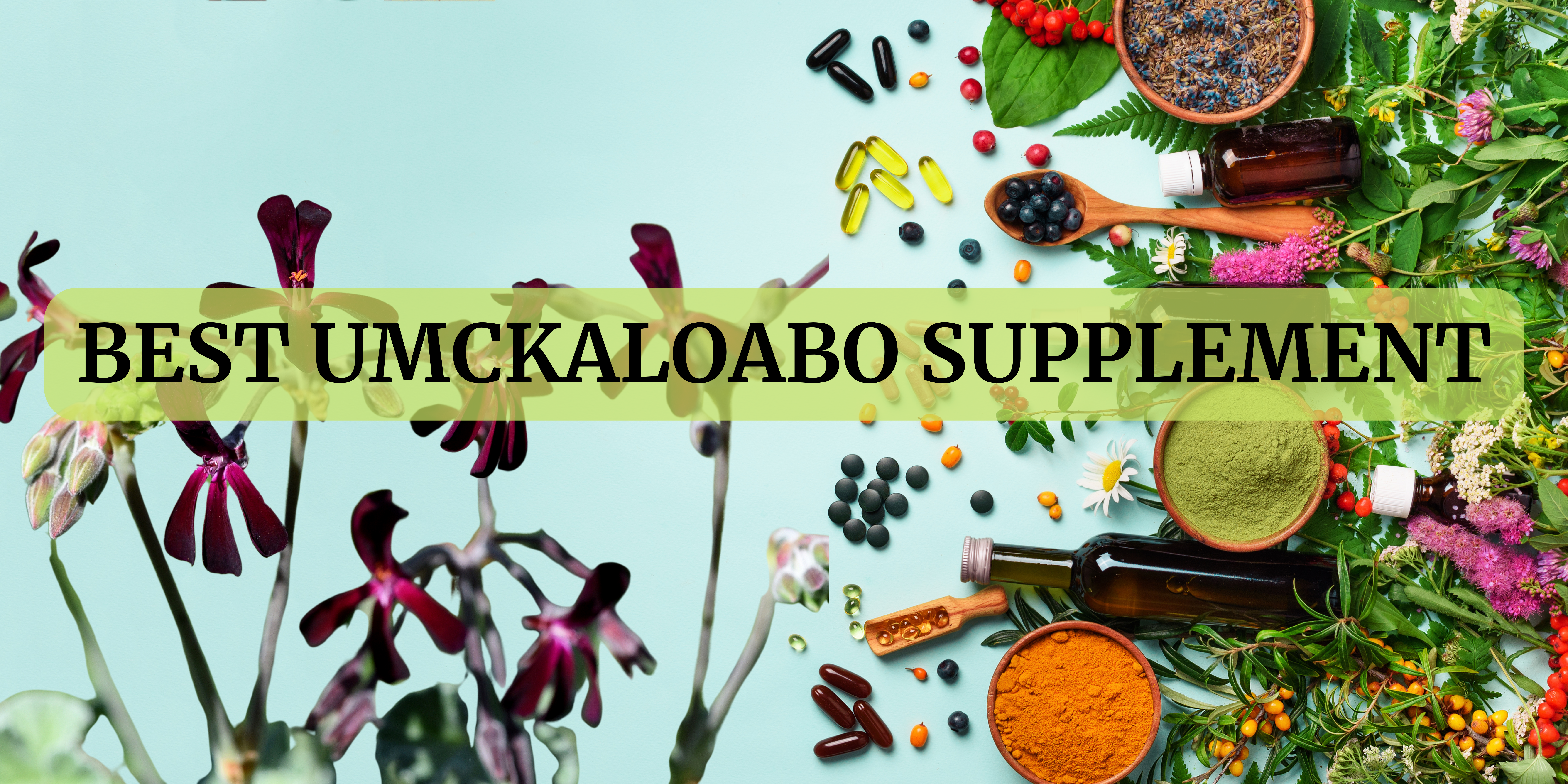 Umckaloabo Supplements in the World